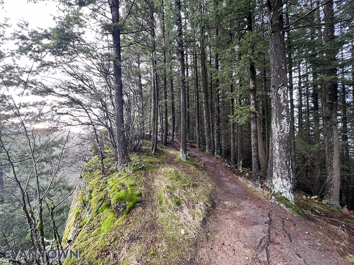 Ridge Trail to Lost Lake